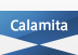 calamita